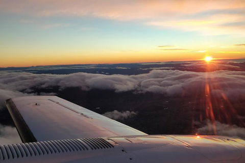 Strahan Day Trip By Air From Hobart Including A Gordon River Cruise - Book Restaurant 0