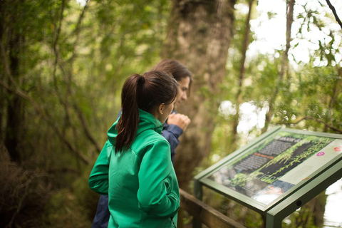 Strahan Day Trip By Air From Hobart Including A Gordon River Cruise - Book Restaurant 5
