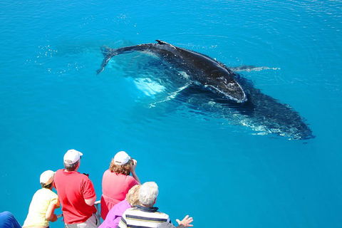 Hervey Bay Whale Watching Cruise - Book Restaurant 2