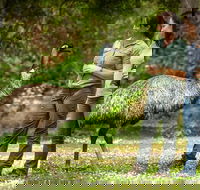 Great Ocean Road 2 Day Highlights Tour and sunset 12 Apostles - Book Restaurant