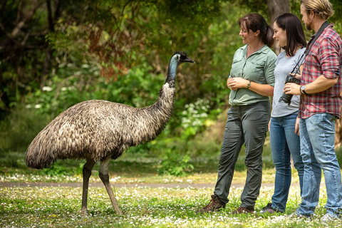 Great Ocean Road 2 Day Highlights Tour And Sunset 12 Apostles - Book Restaurant 0