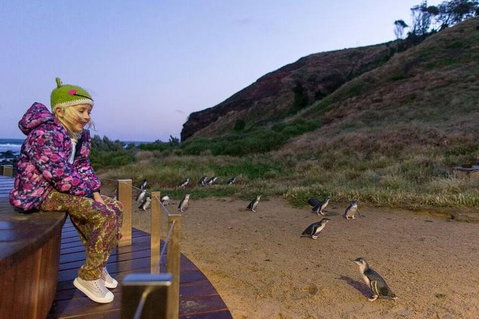 Phillip Island Penguin Parade Day Trip With Koala Conservation Reserve Visit - Book Restaurant 3