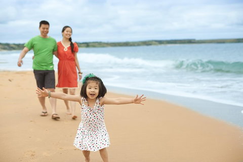 Phillip Island Penguin Parade Day Trip With Koala Conservation Reserve Visit - Book Restaurant 5