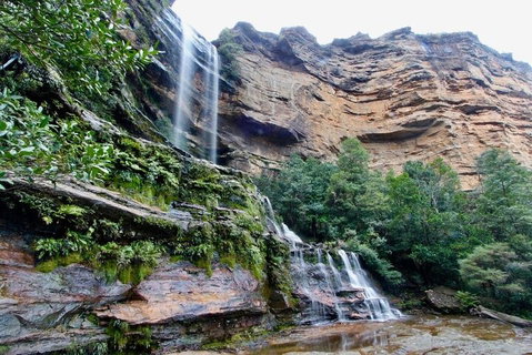 Blue Mountains Sunset Tour | Kangaroos & Koala Encounter (Private Tour) - Book Restaurant 2