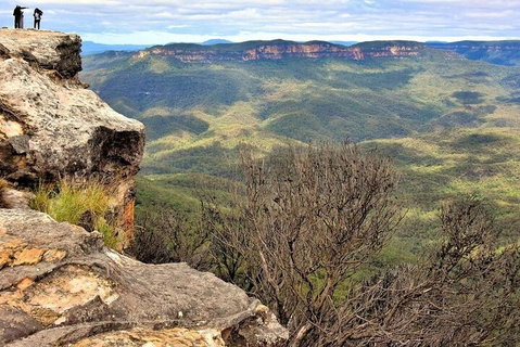 Blue Mountains Sunset Tour | Kangaroos & Koala Encounter (Private Tour) - Book Restaurant 4