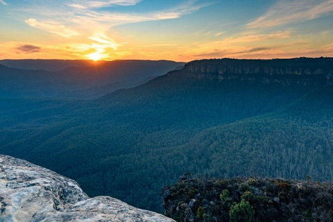 Blue Mountains Sunset Tour | Kangaroos & Koala Encounter (Private Tour) - Book Restaurant 5