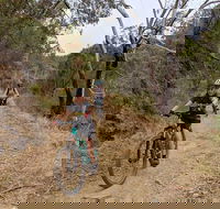 Mount Lofty Descent Bike Tour from Adelaide - Book Restaurant