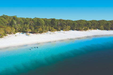 Lake McKenzie Full-Day Tour With Lunch From Hervey Bay - Book Restaurant 4