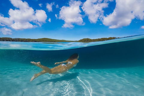 Lake McKenzie Full-Day Tour With Lunch From Hervey Bay - Book Restaurant 5