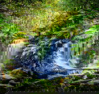 Day Tour in Mt. Field Mt. Wellington Bonorong Wildlife Sanctuary and Richmond - Book Restaurant