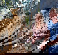 African Cat Encounter at Werribee Open Range Zoo - Book Restaurant