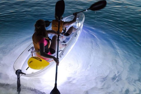 2-Day Moreton Island Tour From Brisbane Or Gold Coast With Optional Nighttime Kayaking - Book Restaurant 0