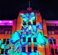 Vivid 90-Minute Sydney Harbour Small Group Catamaran Cruise - Book Restaurant