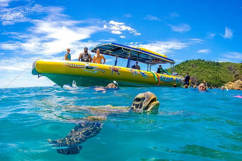 Great Barrier Reef Scenic Flight And Ocean Rafting Whitehaven Beach Day Trip - Book Restaurant 1