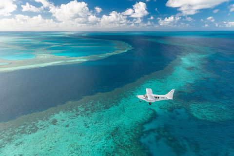 Great Barrier Reef Scenic Flight And Ocean Rafting Whitehaven Beach Day Trip - Book Restaurant 3