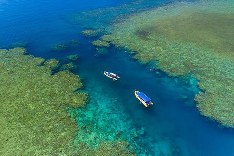 Great Barrier Reef Scenic Flight And Ocean Rafting Whitehaven Beach Day Trip - Book Restaurant 4