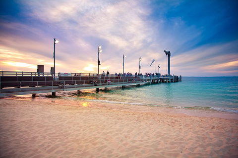 Tangalooma Island Resort Whale Watching Day Cruise With Dolphin Viewing - Book Restaurant 3