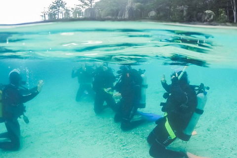 3 Day Whitsundays Sailing And Diving Adventure: Kiana - Book Restaurant 4