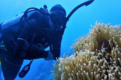 3 Day Whitsundays Sailing And Diving Adventure: Kiana - Book Restaurant 5