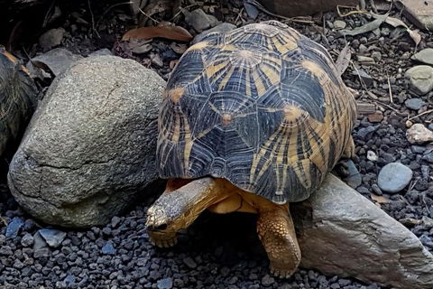 Hartley's Crocodile Adventures General Entry Ticket - Book Restaurant 2