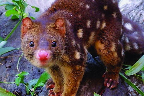 Hartley's Crocodile Adventures General Entry Ticket - Book Restaurant 4