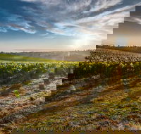 Perth to Margaret River Wine Tour - 2 Day Premium Boutique Wine Tour Experience - Book Restaurant