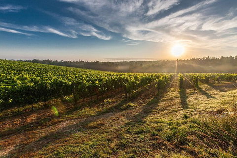 Perth To Margaret River Wine Tour - 2 Day Premium Boutique Wine Tour Experience - Book Restaurant 0