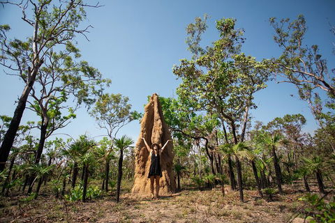 Litchfield National Park - Top End Day Tour From Darwin - Book Restaurant 5