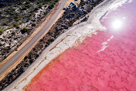 7-Day Exmouth Explorer Via Pinnacles Monkey Mia Ningaloo Reef Returning To Perth - Book Restaurant 0