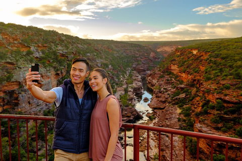 7-Day Exmouth Explorer Via Pinnacles Monkey Mia Ningaloo Reef Returning To Perth - Book Restaurant 5