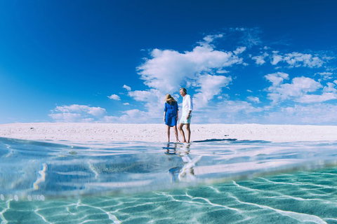 4-Day Coastal Loop Via Monkey Mia Wild Dolphins Kalbarri Pinnacles Perth Return - Book Restaurant 0