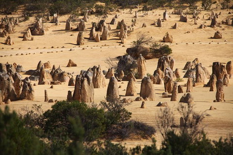 Pinnacles Sunset Dinner And Stargazing Experience A Small Group Tour - Book Restaurant 0