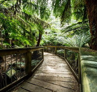 12 Apostles Eco-Friendly Great Ocean Road Iconic Adventure from Melbourne - Book Restaurant