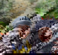 Small-Group Great Ocean Road and 12 Apostles Full-Day Tour from Melbourne - Book Restaurant