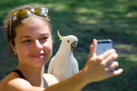 Small-Group Great Ocean Road Experience And Surf Coast Tour - Book Restaurant 3