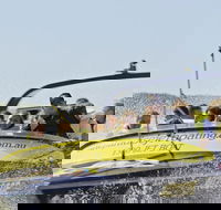 30-minute Jet Blast Express Ride - Book Restaurant