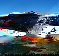 Paradise Jet Boating and Aquaduck Combo - Book Restaurant