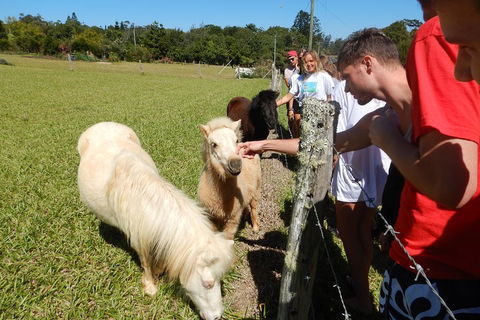 Atherton Tablelands Waterfalls Tour From Cairns - Book Restaurant 4
