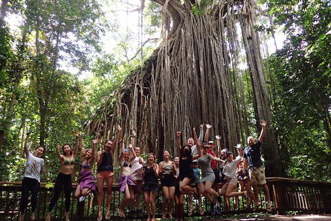 Atherton Tablelands Waterfalls Tour From Cairns - Book Restaurant 5