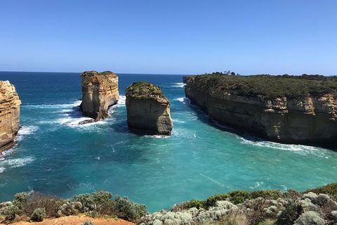 Great Ocean Road Reverse Itinerary PREMIUM Tour - Book Restaurant 0