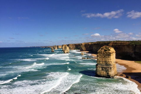 Great Ocean Road Reverse Itinerary PREMIUM Tour - Book Restaurant 2