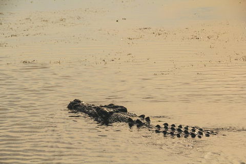 Yellow Water Cruise - Kakadu - Book Restaurant 2