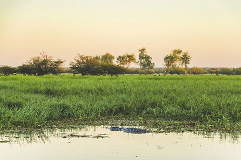 Yellow Water Cruise - Kakadu - Book Restaurant 3