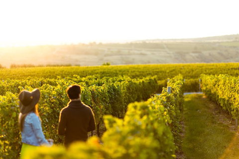 Margaret River Private Tour - Book Restaurant 2