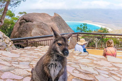 Wineglass Bay & Freycinet NP Full Day Tour From Hobart Via Richmond Village - Book Restaurant 0