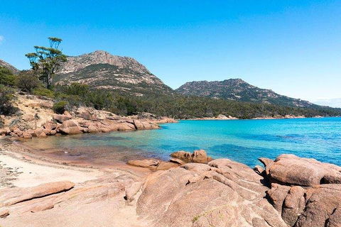 Wineglass Bay & Freycinet NP Full Day Tour From Hobart Via Richmond Village - Book Restaurant 5