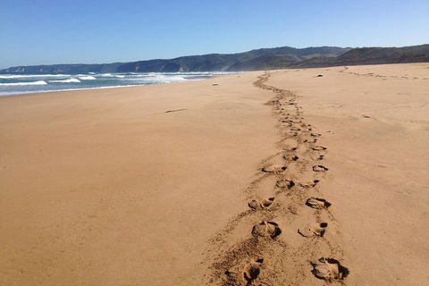 Private Great Ocean Road Full Day Tour - 1 Day Tour - Book Restaurant 5