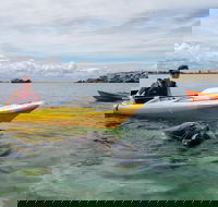 Seal Island and Penguin Island or Point Peron Sea Kayak Tour - Book Restaurant