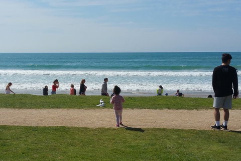 Surf Tour And Lesson - Book Restaurant 0