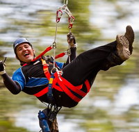 12 Apostles and Otway Fly Zipline Day Trip from Melbourne - Book Restaurant
